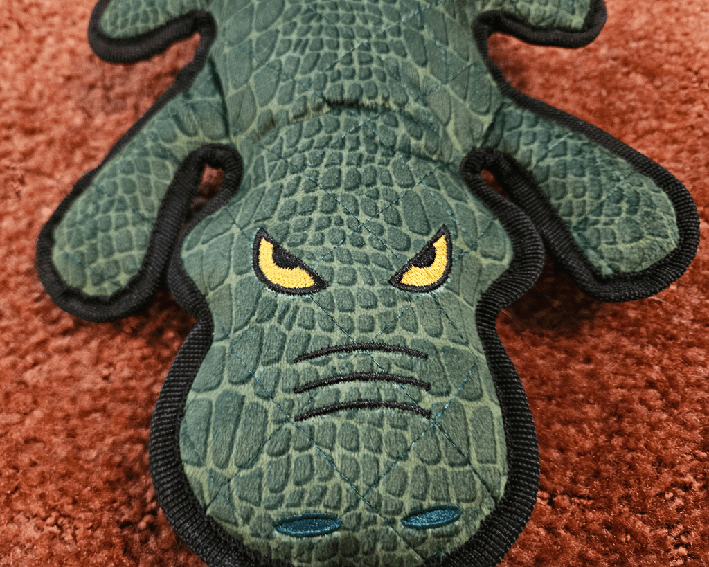 Green textured crocodile toy face close up on brown carpet