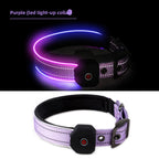 Purple LED light-up dog collar on a black background