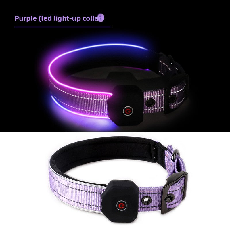 NightWatch LED Collar — Coming Soon