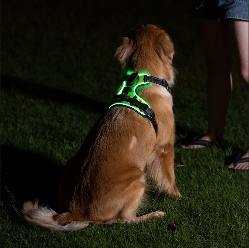 Glow Series LED Dog Harness