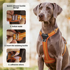 Dog wearing an orange harness with quick-release buckle design features displayed on the left.