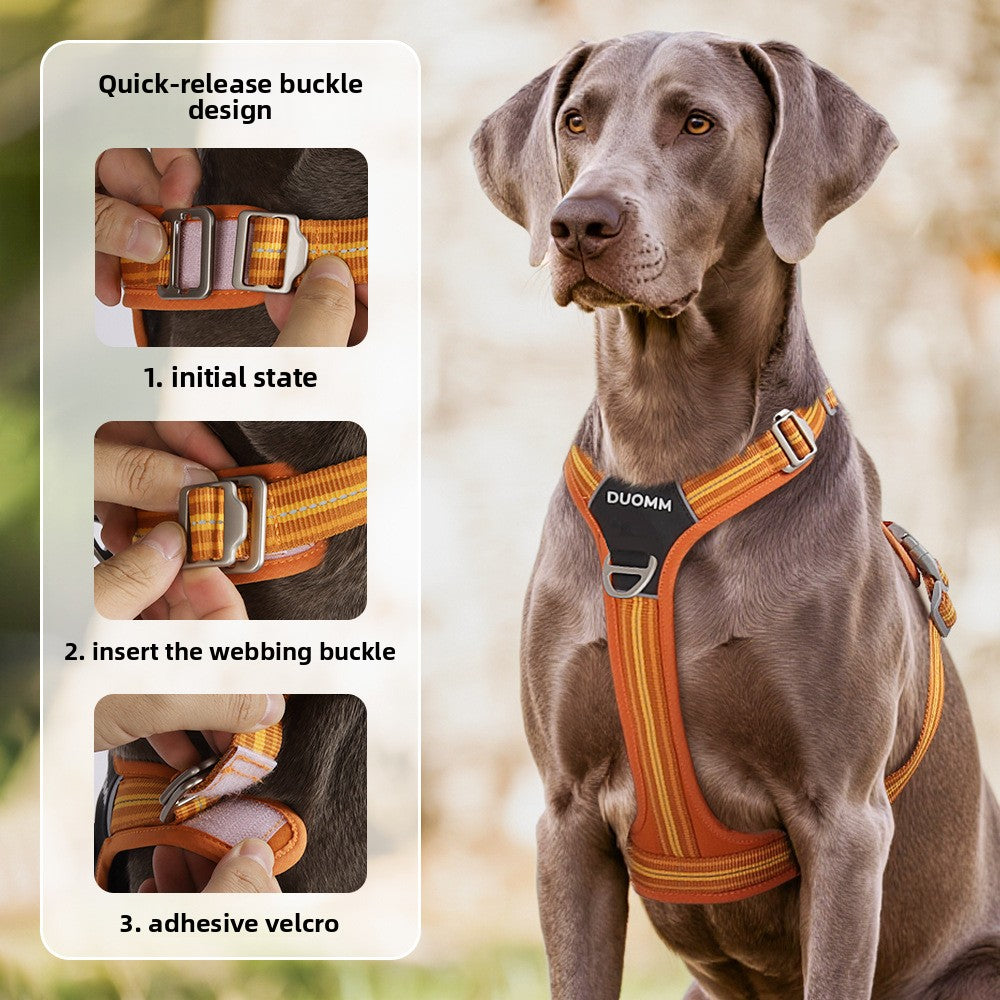 Dog wearing an orange harness with quick-release buckle design features displayed on the left.
