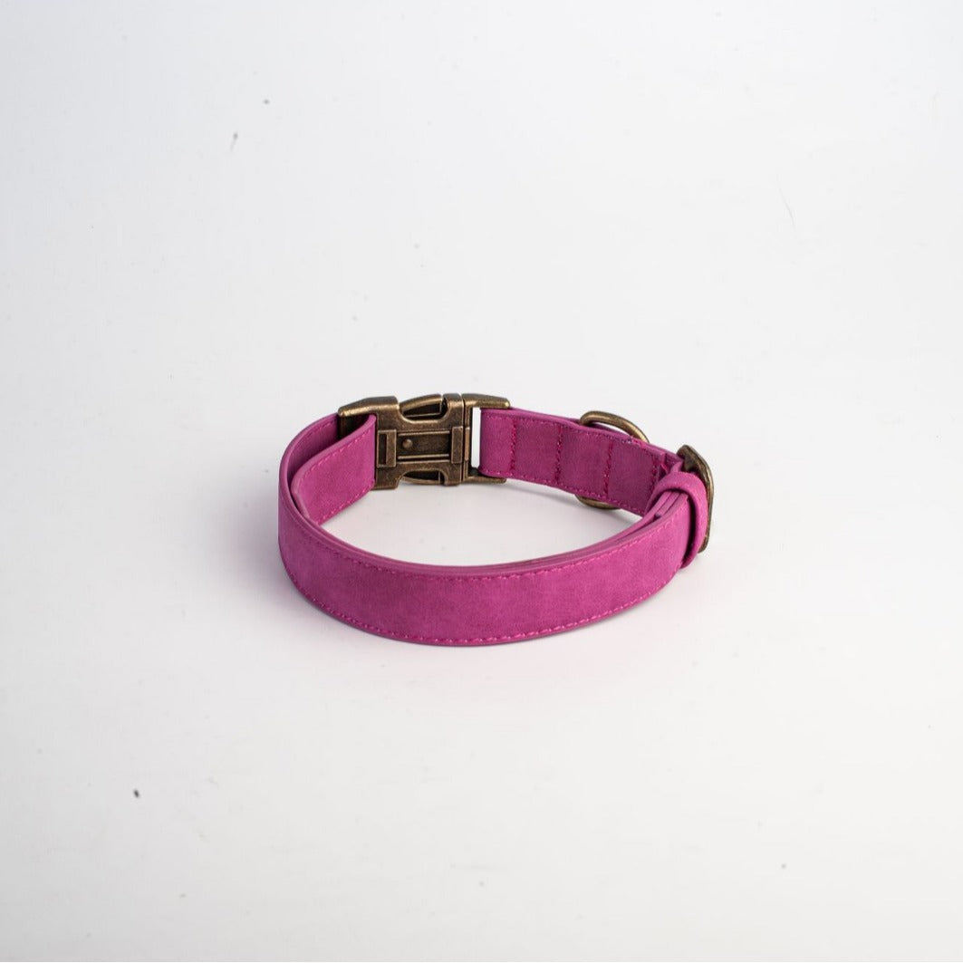 Genuine Leather Dog Collar