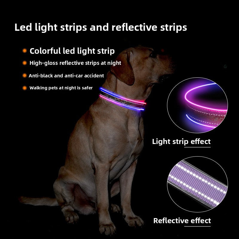 NightWatch LED Collar — Coming Soon