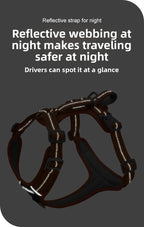 Reflective dog harness with text about safety at night on a dark background