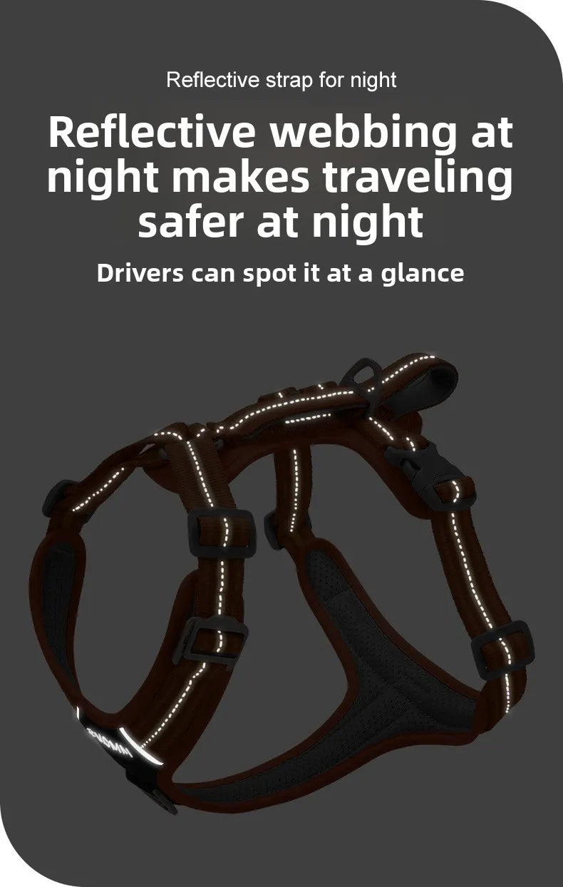 Reflective dog harness with text about safety at night on a dark background