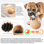 Mysterious Dino Egg Treat Toy