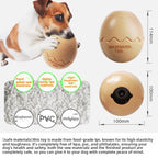 Mysterious Dino Egg Treat Toy