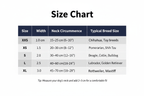 Dog collar size chart with measurements and breed suggestions on a white background