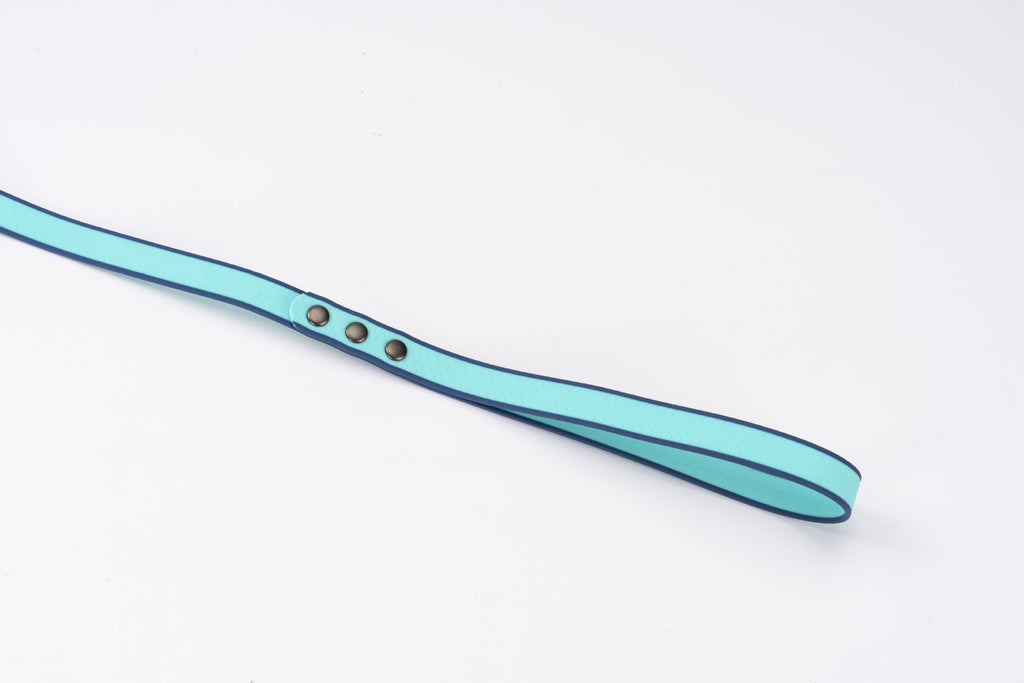 Light blue leash handle on a white background