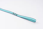 Light blue leash handle on a white background