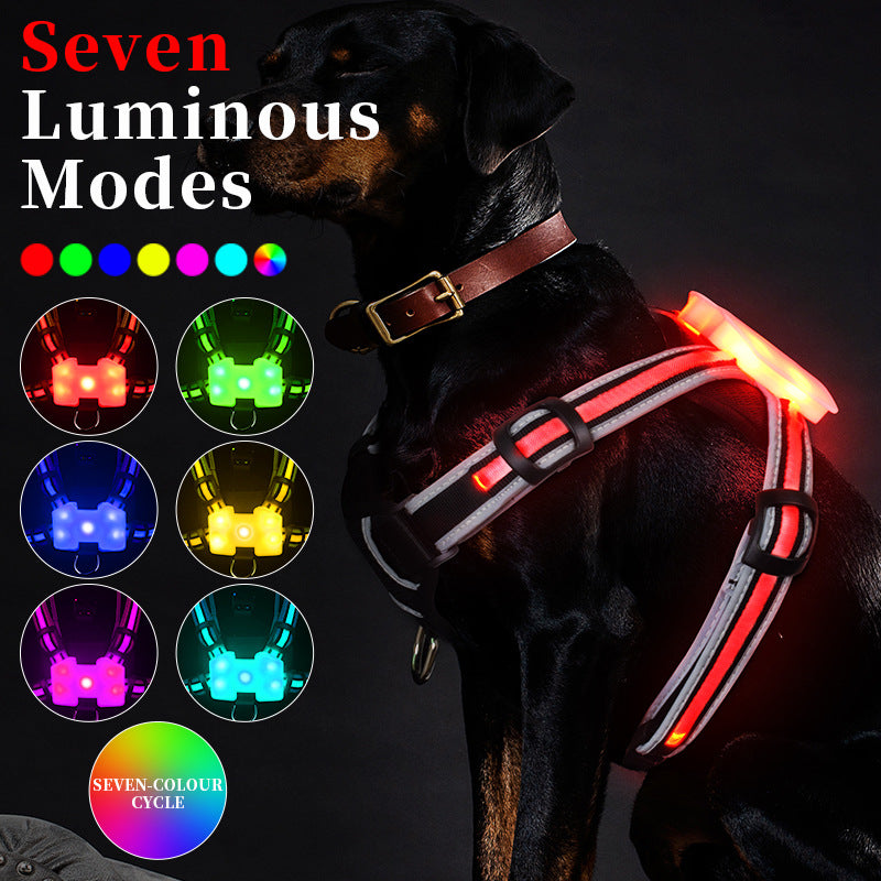 NightWatch No-Pull LED Harness