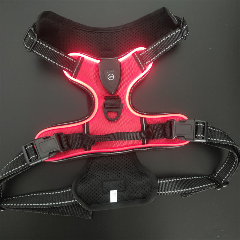 Glow Series LED Dog Harness