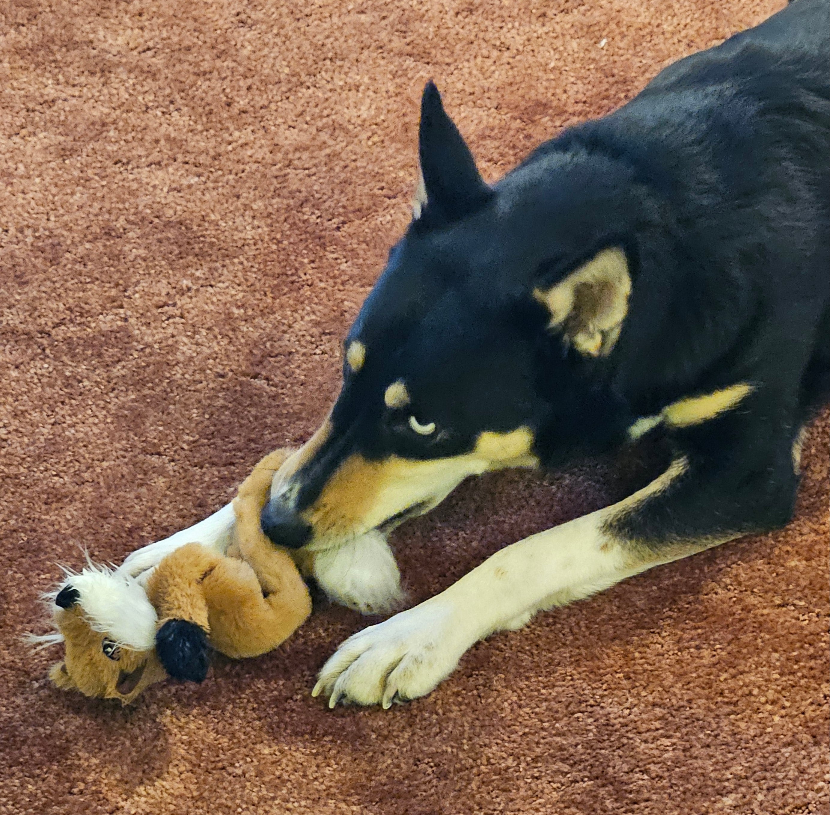 Woodland Critters Squeaky Toy