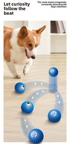 Dog interacting with a blue ball toy on a wooden floor.