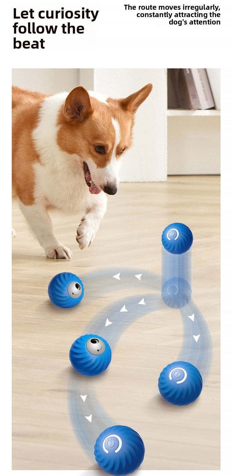 Dog interacting with a blue ball toy on a wooden floor.