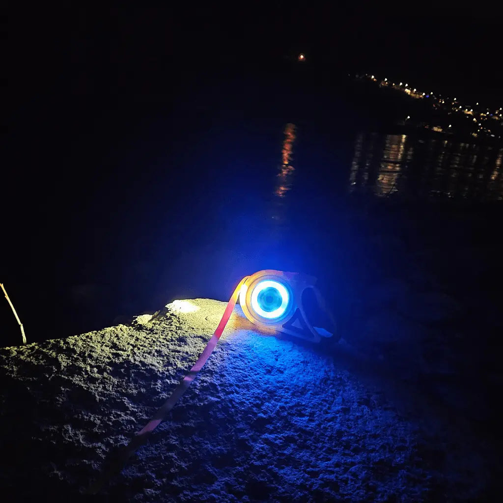 Led leash glowing on a rock by a river with town lights in background