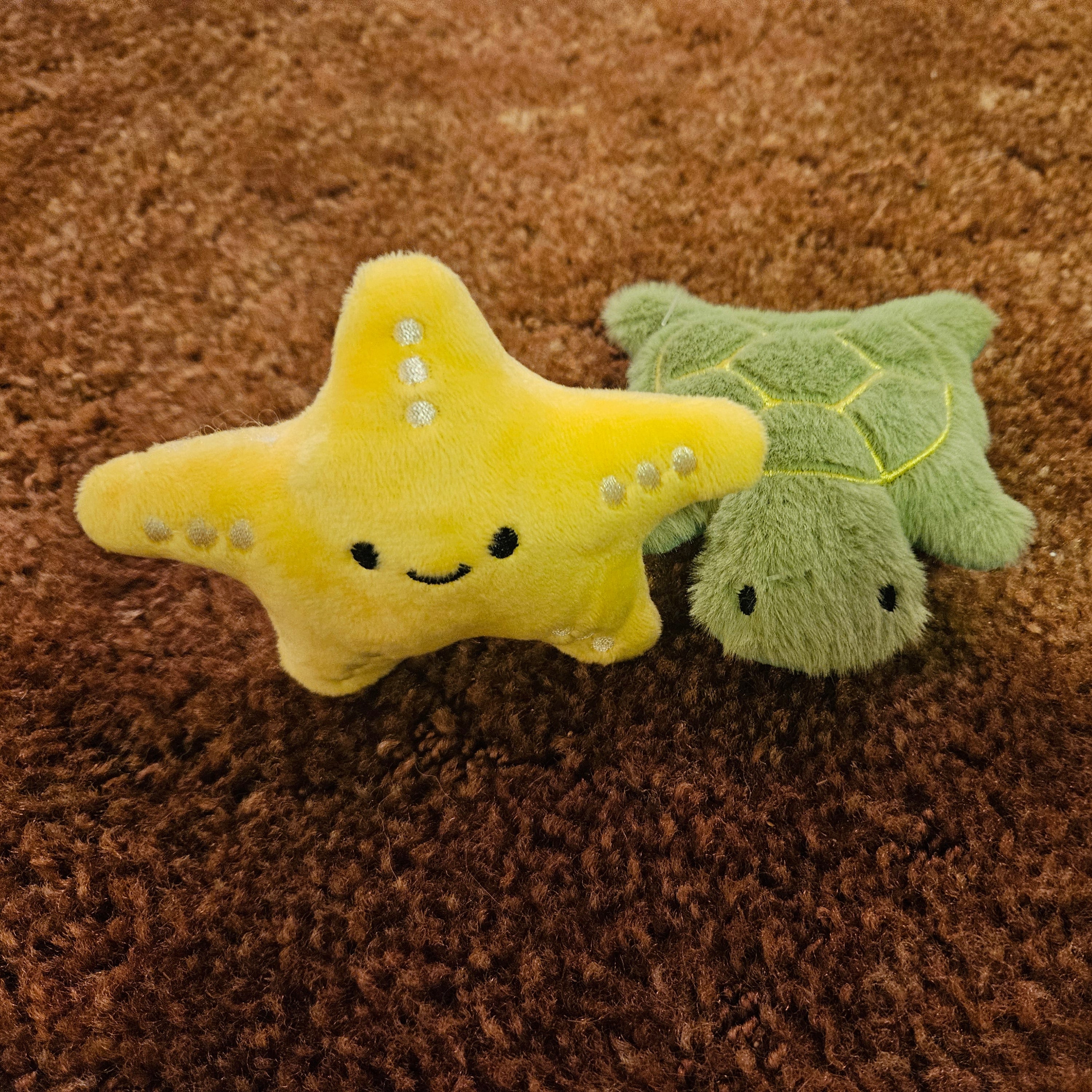 Plush star-shaped toy and green turtle toy on a brown carpet