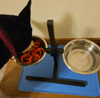 Dog eating from a metal bowl with orange insert on a blue mat with a beige wall background