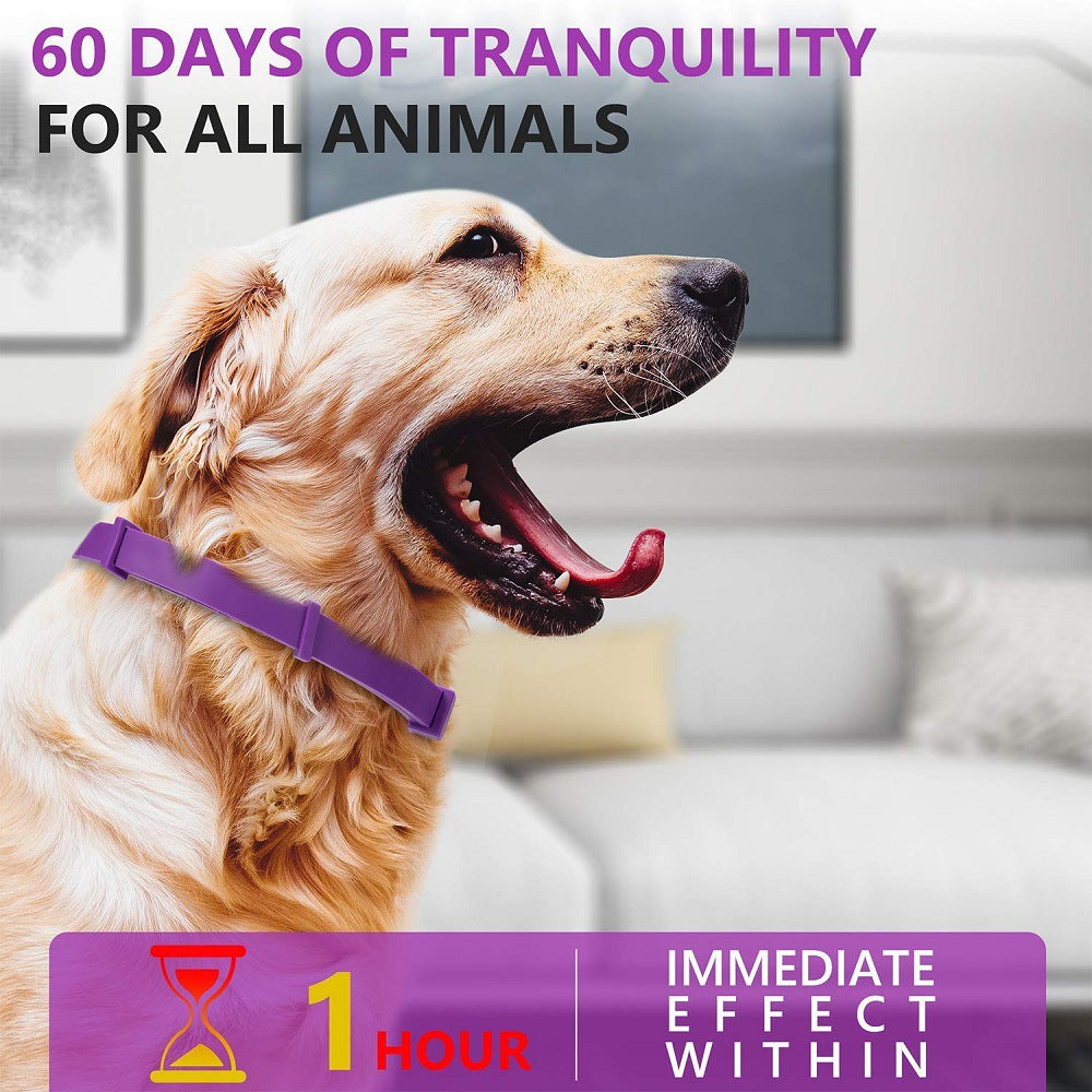 Calming Collar 3-pack