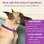 Dog wearing a purple collar with product information text overlay.