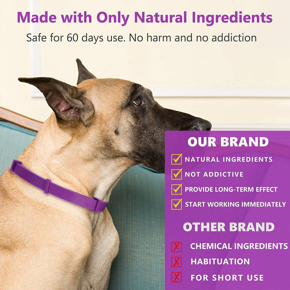 Calming Collar 3-pack