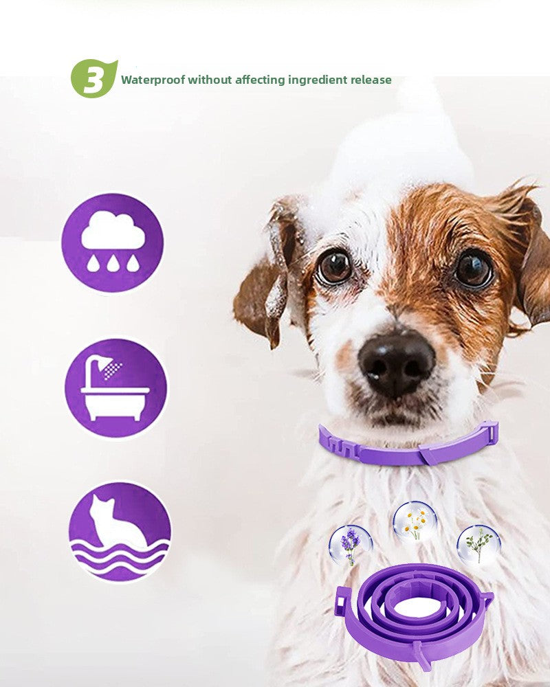 Dog wearing a purple collar with icons and text about waterproofing on a white background