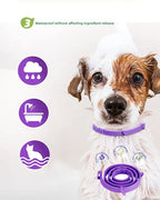 Dog wearing a purple collar with icons and text about waterproofing on a white background