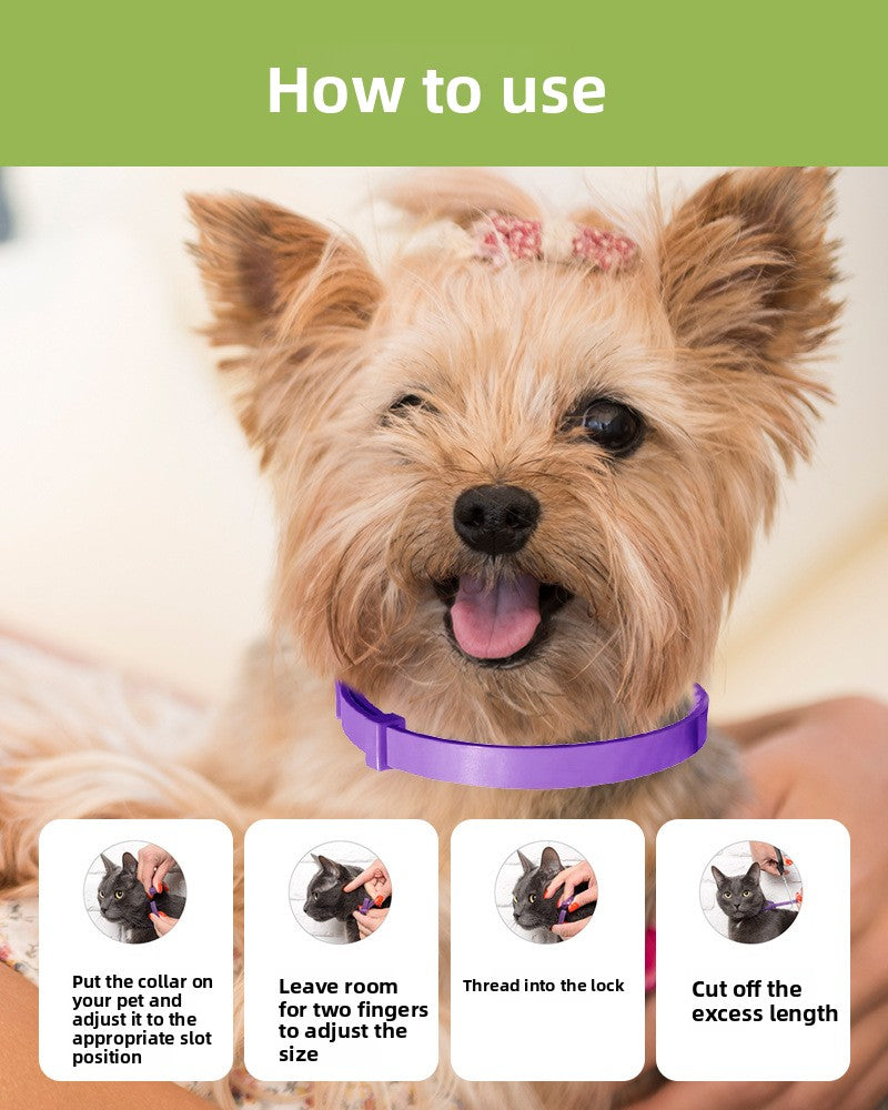 Dog wearing a purple collar with instructional text on how to use it.