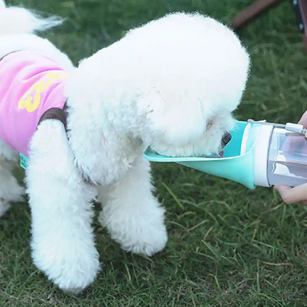 GulpNGo Foldable Dog Water Bottle